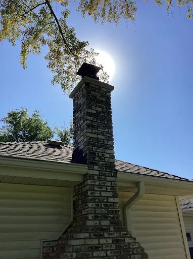 Chimney Animal Removal in Colorado